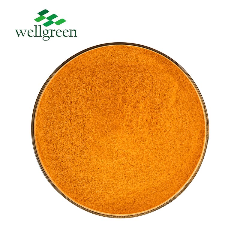Riboflavin Powder Manufacturer - USP Food Grade 80% CAS 83-88-5