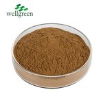 Quillaja Extract Powder Manufacturer - Factory Supply Bulk Natural Soap Halal Kosher