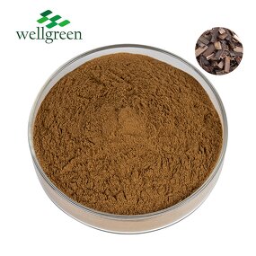 Quillaja Extract Powder Manufacturer - Factory Supply Bulk Natural Soap Halal Kosher