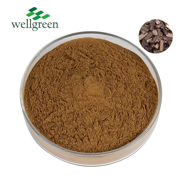 Quillaja Extract Powder Manufacturer - Factory Supply Bulk Natural Soap Halal Kosher