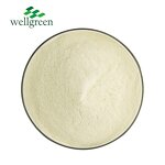 Greengage Powder Manufacturer - Wellgreen 100% Organic Fruit Enzymes Dried