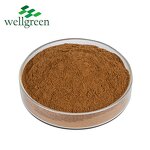 Ivy Leaves Extract Manufacturer - Chinese Herb Dried Hedera Helix Water Soluble Hederin