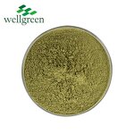 Celery Powder Manufacturer - Chinese Factory Export Low Price from Seeds