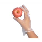 Vinyl Glove Factory - Food Grade