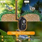 Bird Feeder Camera Manufacturer - 1080P HD AI Identify Species WIFI Camera