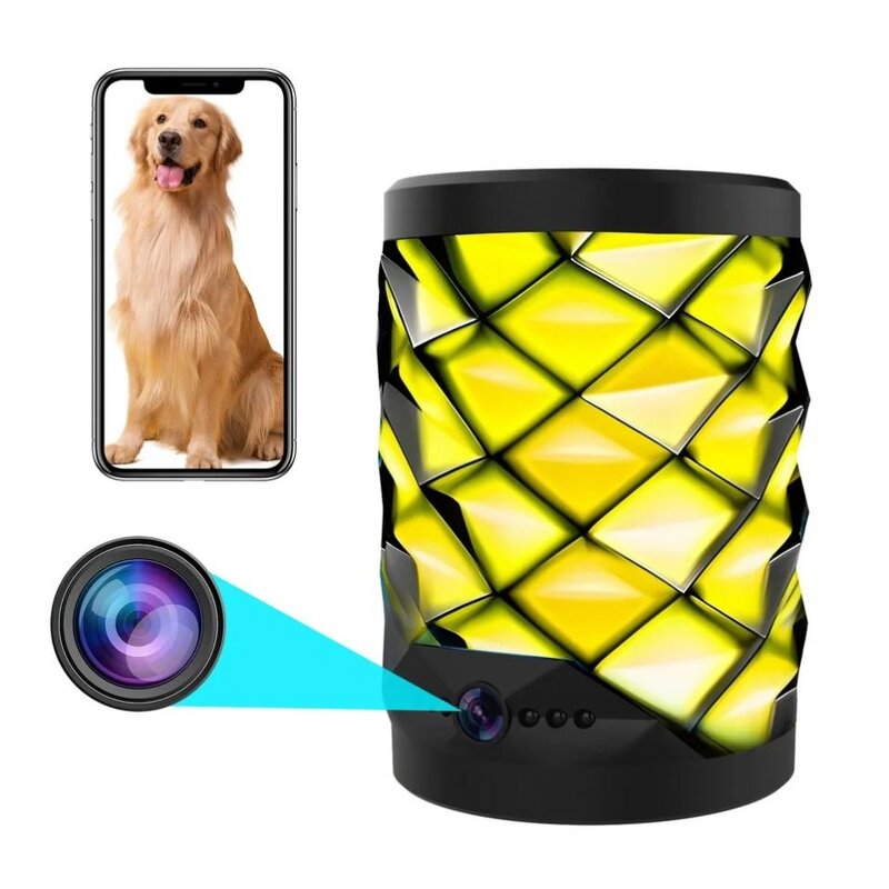 Video Recorder Camera Manufacturer - HD 1080P Mini with Infrared Night Vision