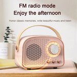 Bluetooth Speaker Manufacturer - Retro DW21 Wireless Mini Portable Desktop