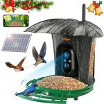 Bird Feeder Camera Manufacturer - 1080P HD AI Identify Species WIFI Camera