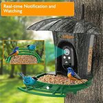Bird Feeder Camera Manufacturer - 1080P HD AI Identify Species WIFI Camera