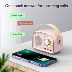 Bluetooth Speaker Manufacturer - Retro DW21 Wireless Mini Portable Desktop