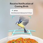 Smart Bird Feeder Manufacturer - Solar with Camera 1080HD AI Recognition Auto