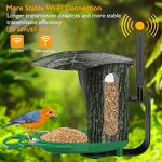 Bird Feeder Camera Manufacturer - 1080P HD AI Identify Species WIFI Camera