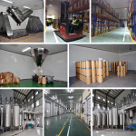 Ajuga Turkestanica Extract Wholesaler - Turkesterone Powder Muscle Growth Custom