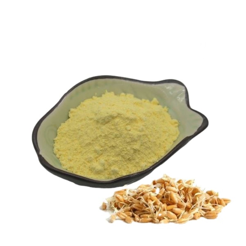 BCI Wheat Germ Powder Supplier - Triticum Aestivum Extract Spermidine Custom