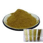 Echinacea Extract Powder Manufacturer - 4% Polyphenols Custom Capsule Filling