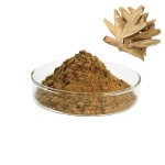 Astragalus Root Extract Factory - 30%/50% Polysaccharide Water Soluble Custom
