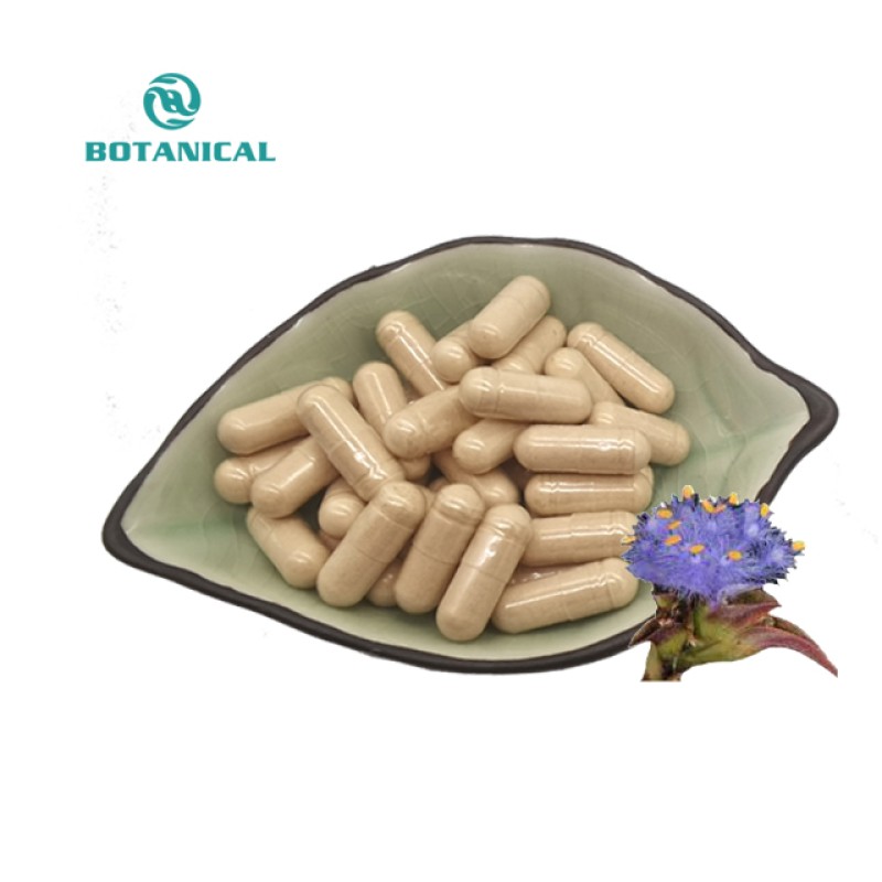 Beta-ecdysterone Capsules OEM Manufacturer - 20-hydroxyecdysone Powder 50%-98%