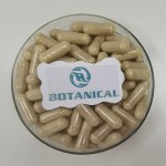 PQQ Supplement 500mg Capsules Manufacturer - Pyrroloquinoline Quinone for Energy & Sleep