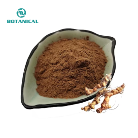 Polygonatum Sibiricum Extract Wholesaler - 10:1 20:1 Natural Rhizoma Custom