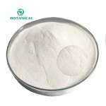 BCI Hydrolyzed Collagen Powder Factory - Fish Bovine Protein Custom Formula