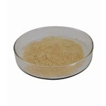 Soy Bean Extract Powder Supplier - 20%/40% Isoflavones Dietary Supplement Custom