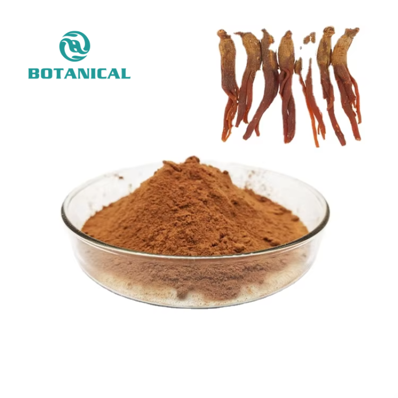 BCI Korean Red Ginseng Extract Powder Manufacturer - Ginsenosides Skin Care Custom