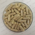 BCI Lion's Mane Extract Capsules OEM - Hericium Erinaceus Custom Private Label