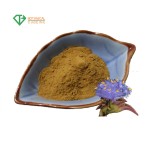 Beta-ecdysterone Capsules OEM Manufacturer - 20-hydroxyecdysone Powder 50%-98%