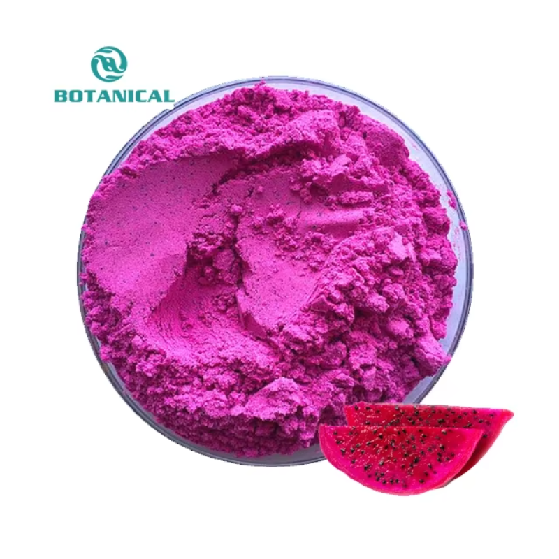 Red Dragon Fruit Powder Manufacturer - 100% Natural Food Grade Instant Powder