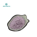 BCI Natural UBE Purple Yam Powder Supplier - Free Sample Available