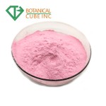 Natural Strawberry Powder Manufacturer - Pure Fruit Powder Custom Grinding