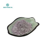 BCI Healthcare Purple Yam Powder Manufacturer - OEM/ODM Custom Ube Powder