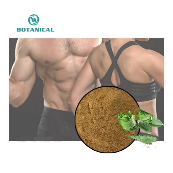 Men's Health Extract Powder Factory - Epimedium Maca Tribulus Custom Blend