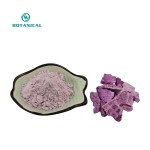 BCI Natural UBE Purple Yam Powder Supplier - Free Sample Available