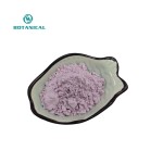 BCI Natural UBE Purple Yam Powder Supplier - Free Sample Available