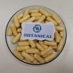 PQQ Supplement 500mg Capsules Manufacturer - Pyrroloquinoline Quinone for Energy & Sleep