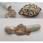 Beta-ecdysterone Capsules OEM Manufacturer - 20-hydroxyecdysone Powder 50%-98%