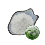 Cnidium Monnieri Extract Manufacturer - Antiviral Formula OEM Services
