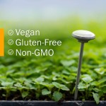 蘑菇混合粉供应商-私标OEM蘑菇提取物
