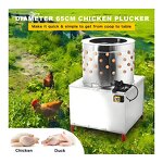 Poultry Feather Removal Machine - Manufacturer - Quail Chicken Slaughter Equipment Livestock Core Bearing