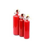 Foam Fire Extinguisher - Manufacturer - European Standard Fluorine Free 2L 6L 9L Portable
