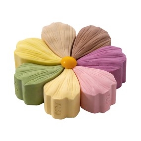 Rainbow Cheese Cake Supplier - Frozen Mousse Fast Delivery