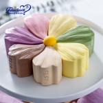 Rainbow Cheese Cake Supplier - Frozen Mousse Fast Delivery