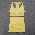 2PCS Seamless Yoga Set - Manufacturer - Sports Bra High Waist Shorts Fitness Gym Clothes Outfits