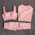 Seamless Yoga Set - Manufacturer - Long Sleeve Crop Top Bra Gym Legging Fitness Sportswear