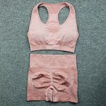 2PCS Seamless Yoga Set - Manufacturer - Sports Bra High Waist Shorts Fitness Gym Clothes Outfits