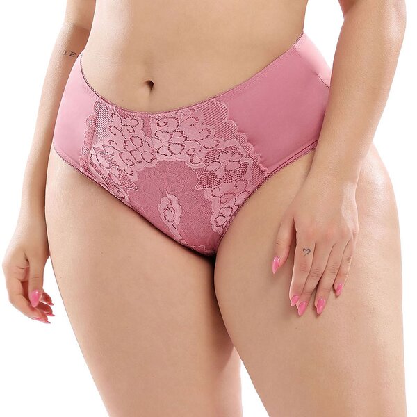 Plus Size Lace Panties - Manufacturer - High Waist Elastic Flowers Hollow Sexy Soft Briefs