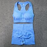 2PCS Seamless Yoga Set - Manufacturer - Sports Bra High Waist Shorts Fitness Gym Clothes Outfits