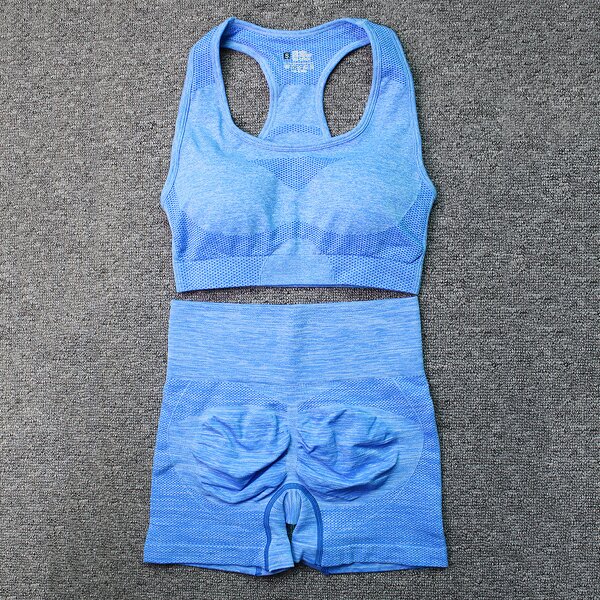 2PCS Seamless Yoga Set - Manufacturer - Sports Bra High Waist Shorts Fitness Gym Clothes Outfits