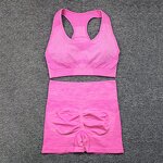2PCS Seamless Yoga Set - Manufacturer - Sports Bra High Waist Shorts Fitness Gym Clothes Outfits
